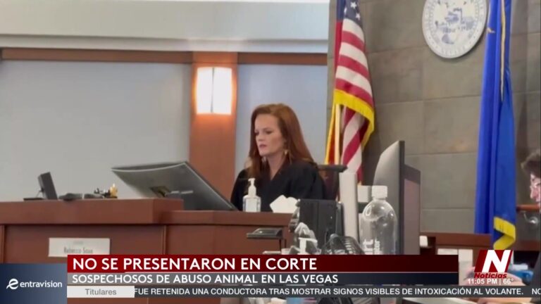 Escándalo De Maltrato Animal En Las Vegas: Dos Acusados Pospone Audiencia Judicial