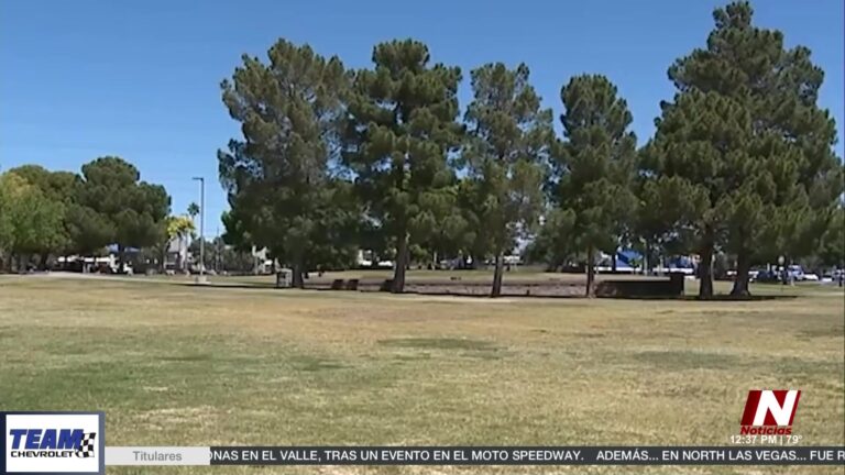 Crisis en West Flamingo: El Reto de los Asentamientos Urbanos