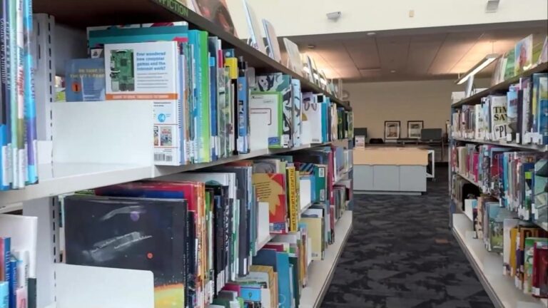 Premios Lectura: Premian A Niños Y Jóvenes Que Lean Este Verano En Las Vegas premios lectura
