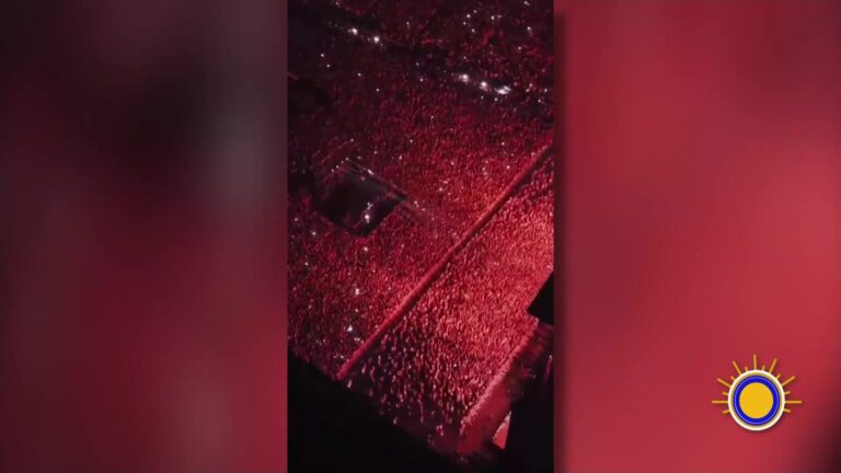 Pitbull Consigue Un Récord Guinness Peculiar Con Miles De Fanáticos Pitbull