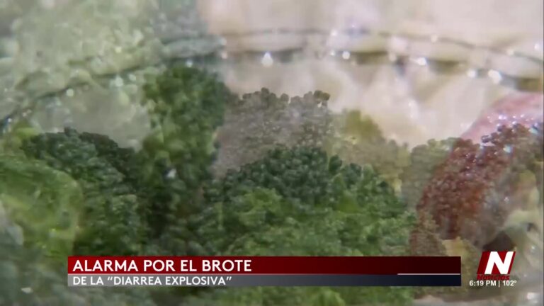 Brote Nacional De Diarrea Por Parásito Cyclospora: CDC Confirma 31 Estados Afectados brote